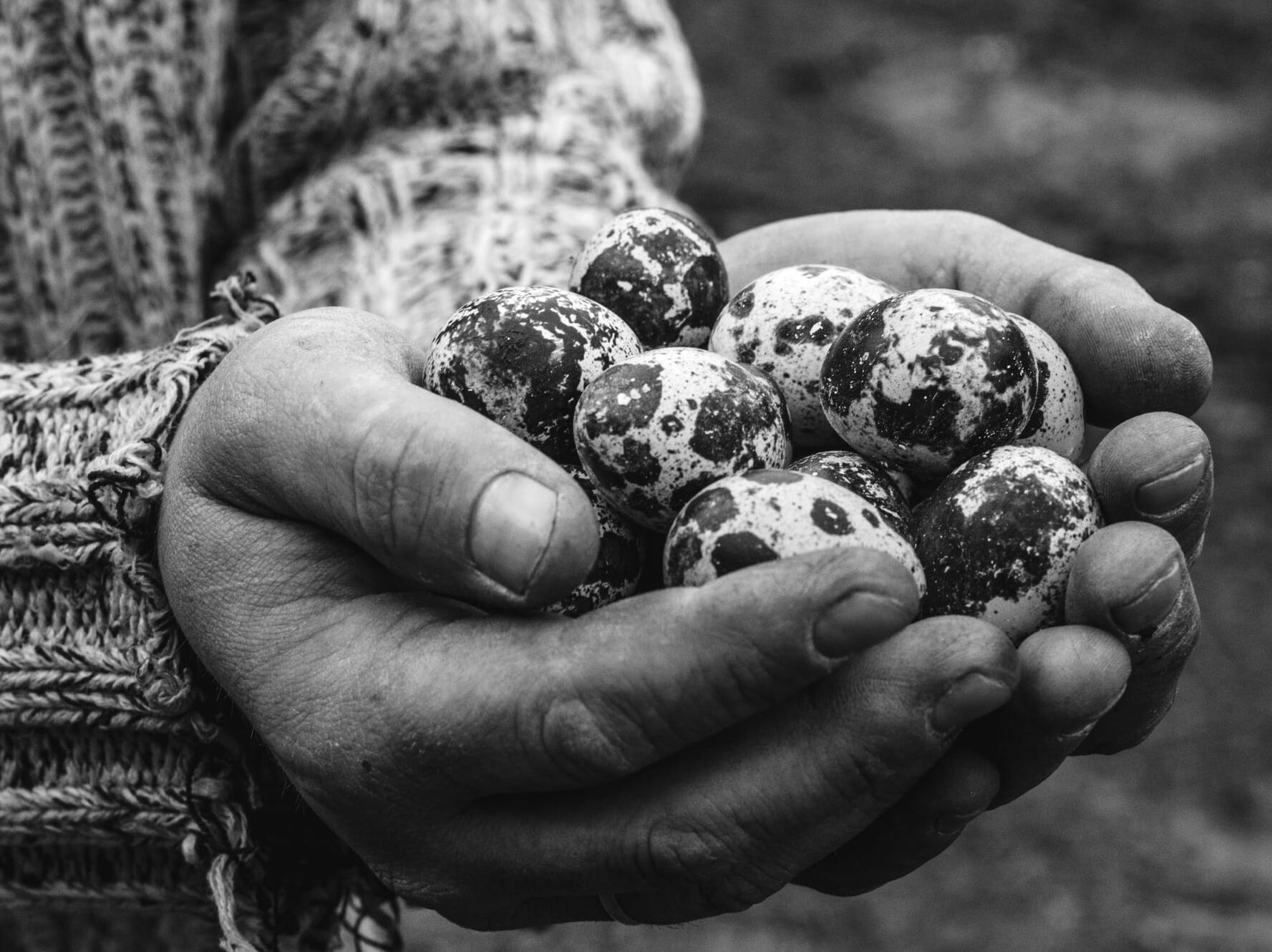 Elder holding Quail Eggs