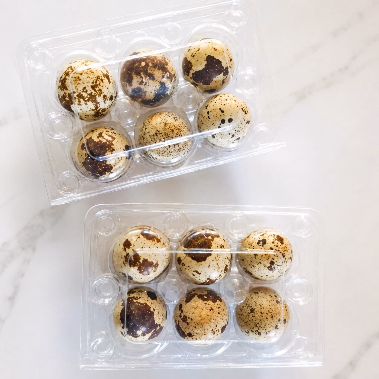 Six egg sample packs from Cumberland Quail