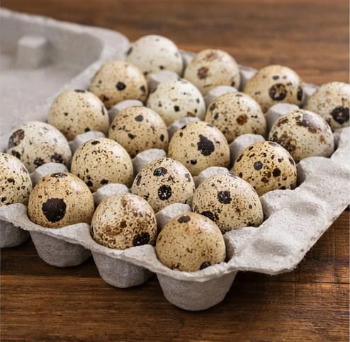 quail eggs